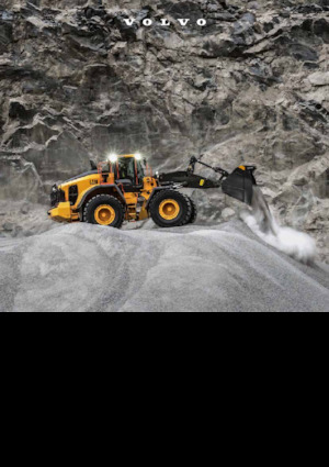 Încărcătoare pe roți Volvo L220 