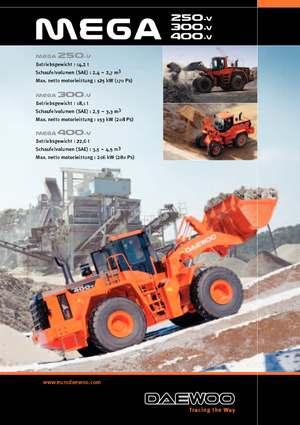 Încărcătoare pe roți Doosan Mega 250 V