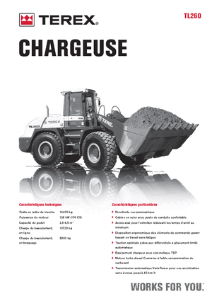 Încărcătoare pe roți Terex TL 260
