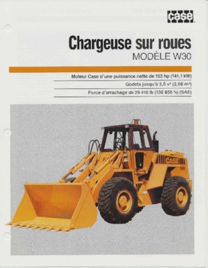 Încărcătoare pe roți Case W30