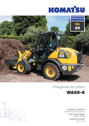 Încărcătoare pe roți Komatsu WA65-6