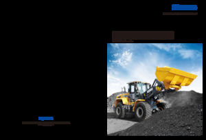 Încărcătoare pe roți XCMG XC948