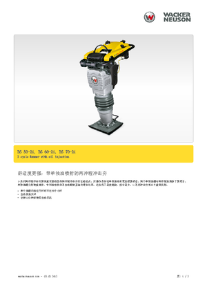 Maiuri compactoare pe benzină și Diesel Wacker BS 50-2i 11