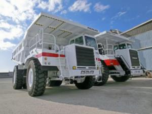 Basculante rigide Perlini DP 705 WD