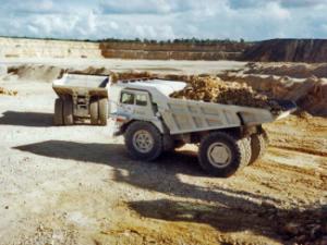 Basculante rigide Perlini DP 905 WD