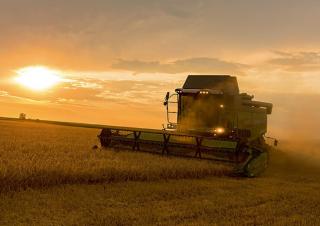Combine agricole Fendt 5255 L MCS Rice