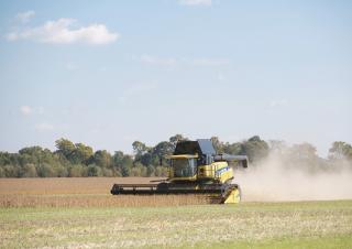 Atașamente Combine agricole Bare port-cuțit New Holland 740CF 30FT SD