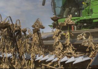 Atașamente Combine agricole Bare port-cuțit Geringhoff SL 25