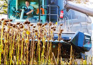 Atașamente Combine agricole Bare port-cuțit Geringhoff SLH 25