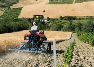 Combine agricole DEUTZ-FAHR C 7206 TS Topline Extra Power