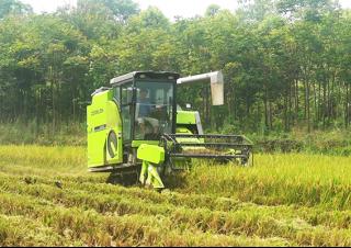 Combine agricole Zoomlion FH100C