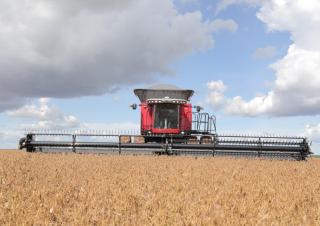 Combine agricole Massey Ferguson MF 9895