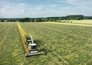 Combine de recoltat furaje 4-WD Claas Jaguar 960
