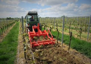 Cultivatoare Maschio Pinocchio 130/3