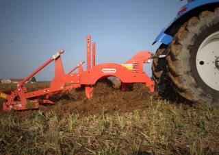 Cultivatoare Maschio Pinocchio 250/5