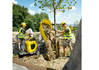 Dumpere pe Şenile Wacker Neuson DT10