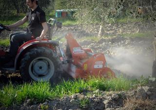 Grape de putere Maschio W 145