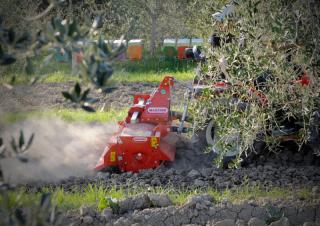 Grape de putere Maschio W 145