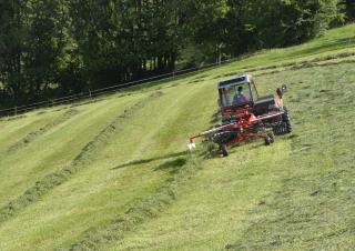 Greble rotative Lely Hibiscus 485 P