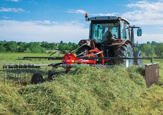 Greble rotative Massey Ferguson RK361 DN