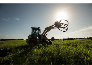 Încărcătoare pe roți Caterpillar 903D