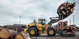Încărcătoare pe roți Volvo L220H