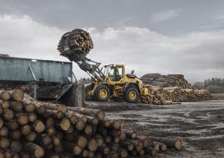 Încărcătoare pe roți Volvo L70H