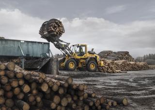 Încărcătoare pe roți Volvo L90H
