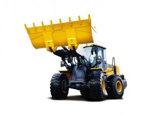 Încărcătoare pe roți XCMG LW550FN