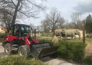 Încărcătoare pe roți Yanmar V80