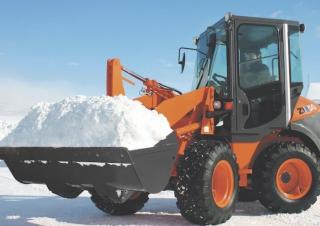 Încărcătoare pe roți Hitachi ZW50-5B