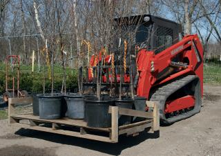 Mini încărcătoare Manitou 2100RT NXT:3