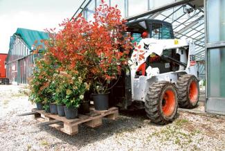 Mini încărcătoare Bobcat S 160