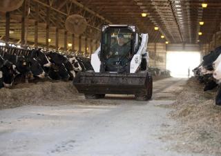 Mini încărcătoare Bobcat S590