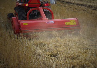 Mulcere/tocătoare forestiere Maschio Barbi 160