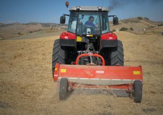 Mulcere/tocătoare forestiere Maschio Chiara 250 S
