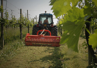 Mulcere/tocătoare forestiere Maschio Tigre 300