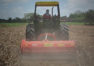 Mulcere/tocătoare forestiere Maschio Tornado 280