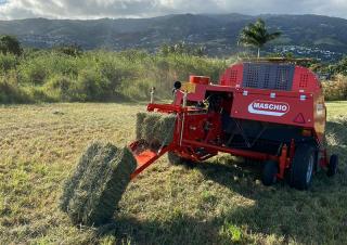 Prese de balotat pătrate + Prese de boltat de densitate mare Maschio Pitagora