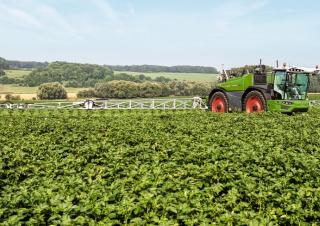 Pulverizatoare de câmp cu autopropulsie Fendt Rogator 655