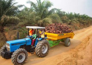 Tehnologii de transport Remorci autobasculante Joskin TRANS-PALM 5000/7C65