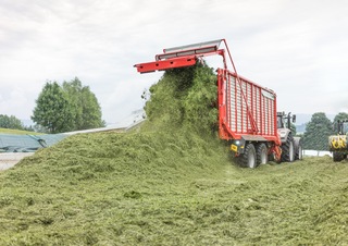 Remorci cu tocător pentru siloz Pöttinger Jumbo 6020 L