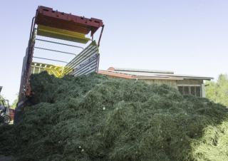 Remorci cu tocător pentru siloz Pöttinger Primo 801 L