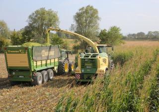 Remorci cu tocător pentru siloz Krone TX 460 