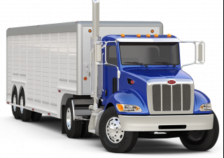 Camioane Șasiuri rigide Peterbilt 337 PACCAR PX-9