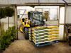 Telehandlere JCB 515-40