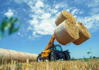 Telehandlere Dieci Agri Farmer 30.9 GD