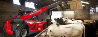 Telehandlere Massey Ferguson MF 9205