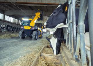 Telehandlere Dieci Mini Agri 20.4 Smart