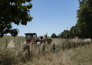 Telehandlere Manitou MLT 630-115 D Premium